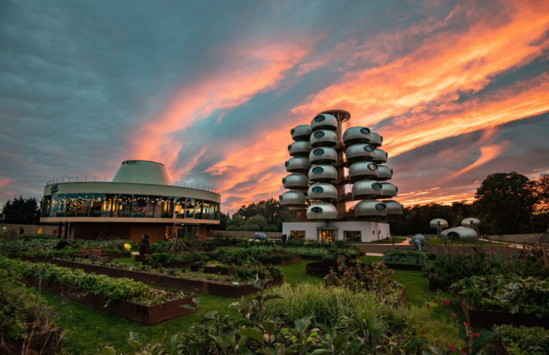 越看越像樹葡萄，但一點都不“土味”